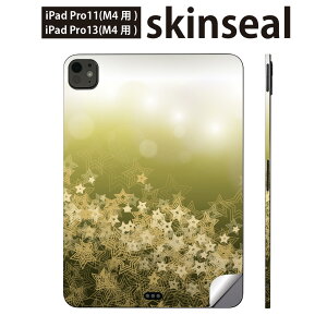 iPadPro 11(M4) iPadPro 13(M4) 2024N 5 p XLV[ 11C` 13C` ipad pro Ή m[gp\R Jo[ P[X tB XebJ[ ANZT[ ی @S[h@΁@002181