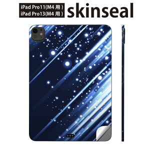 iPadPro 11(M4) iPadPro 13(M4) 2024N 5 p XLV[ 11C` 13C` ipad pro Ή m[gp\R Jo[ P[X tB XebJ[ ANZT[ ی u@@002275