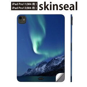 iPadPro 11(M4) iPadPro 13(M4) 2024N 5 p XLV[ 11C` 13C` ipad pro Ή m[gp\R Jo[ P[X tB XebJ[ ANZT[ ی I[@iF@i@002450