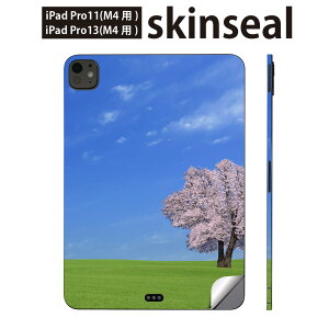 iPadPro 11(M4) iPadPro 13(M4) 2024N 5 p XLV[ 11C` 13C` ipad pro Ή m[gp\R Jo[ P[X tB XebJ[ ANZT[ ی iF@i@@002466