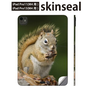 iPadPro 11(M4) iPadPro 13(M4) 2024N 5 p XLV[ 11C` 13C` ipad pro Ή m[gp\R Jo[ P[X tB XebJ[ ANZT[ ی Vv@@́@002575