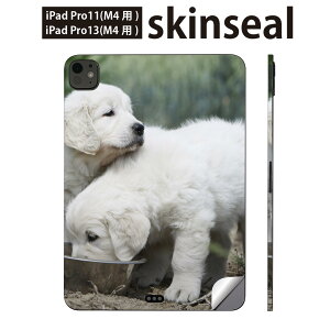 iPadPro 11(M4) iPadPro 13(M4) 2024N 5 p XLV[ 11C` 13C` ipad pro Ή m[gp\R Jo[ P[X tB XebJ[ ANZT[ ی @002577