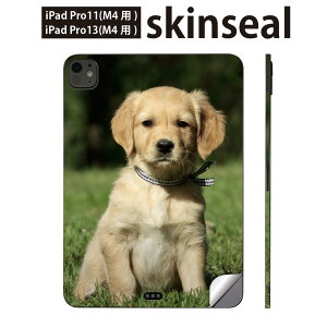 iPadPro 11(M4) iPadPro 13(M4) 2024N 5 p XLV[ 11C` 13C` ipad pro Ή m[gp\R Jo[ P[X tB XebJ[ ANZT[ ی @@ʐ^@002580