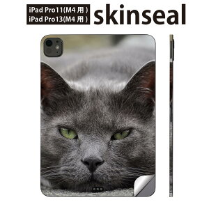 iPadPro 11(M4) iPadPro 13(M4) 2024N 5 p XLV[ 11C` 13C` ipad pro Ή m[gp\R Jo[ P[X tB XebJ[ ANZT[ ی L@@ʐ^@002650