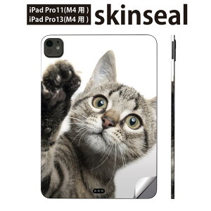 iPadPro 11(M4) iPadPro 13(M4) 2024N 5 p XLV[ 11C` 13C` ipad pro Ή m[gp\R Jo[ P[X tB XebJ[ ANZT[ ی L@@ʐ^@002674