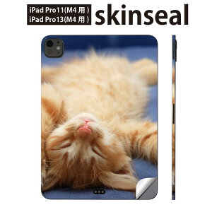 iPadPro 11(M4) iPadPro 13(M4) 2024N 5 p XLV[ 11C` 13C` ipad pro Ή m[gp\R Jo[ P[X tB XebJ[ ANZT[ ی L@@ʐ^@002759