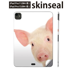 iPadPro 11(M4) iPadPro 13(M4) 2024�N���� ��5���� �p �X�L���V�[�� 11�C���` 13�C���` ipad pro �Ή� �m�[�g�p�\�R�� �J�o�[ �P�[�X �t�B���� �X�e�b�J�[ �A�N�Z�T���[ �ی� �Ԃ��@�����@�ʐ^�@002775