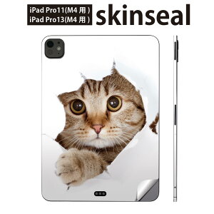 iPadPro 11(M4) iPadPro 13(M4) 2024N 5 p XLV[ 11C` 13C` ipad pro Ή m[gp\R Jo[ P[X tB XebJ[ ANZT[ ی L@@ʐ^@002783