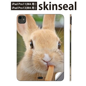 iPadPro 11(M4) iPadPro 13(M4) 2024N 5 p XLV[ 11C` 13C` ipad pro Ή m[gp\R Jo[ P[X tB XebJ[ ANZT[ ی @@ʐ^@002807