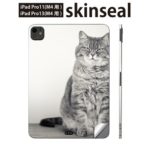 iPadPro 11(M4) iPadPro 13(M4) 2024N 5 p XLV[ 11C` 13C` ipad pro Ή m[gp\R Jo[ P[X tB XebJ[ ANZT[ ی L@@ʐ^@002901