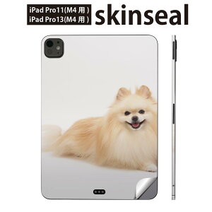 iPadPro 11(M4) iPadPro 13(M4) 2024�N���� ��5���� �p �X�L���V�[�� 11�C���` 13�C���` ipad pro �Ή� �m�[�g�p�\�R�� �J�o�[ �P�[�X �t�B���� �X�e�b�J�[ �A�N�Z�T���[ �ی� ���@�����@�ʐ^�@002911