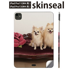 iPadPro 11(M4) iPadPro 13(M4) 2024N 5 p XLV[ 11C` 13C` ipad pro Ή m[gp\R Jo[ P[X tB XebJ[ ANZT[ ی @@ʐ^@002913