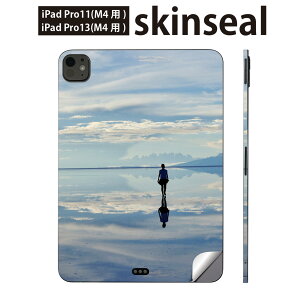 iPadPro 11(M4) iPadPro 13(M4) 2024N 5 p XLV[ 11C` 13C` ipad pro Ή m[gp\R Jo[ P[X tB XebJ[ ANZT[ ی ʐ^@i@iF@003298