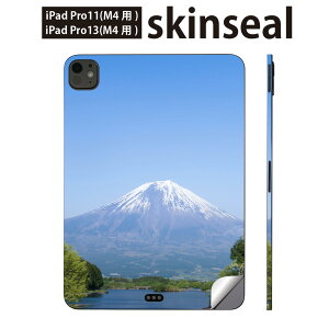 iPadPro 11(M4) iPadPro 13(M4) 2024N 5 p XLV[ 11C` 13C` ipad pro Ή m[gp\R Jo[ P[X tB XebJ[ ANZT[ ی i@iF@ʐ^@003576