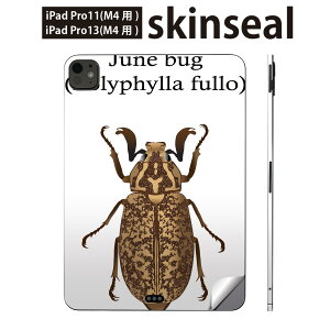 iPadPro 11(M4) iPadPro 13(M4) 2024N 5 p XLV[ 11C` 13C` ipad pro Ή m[gp\R Jo[ P[X tB XebJ[ ANZT[ ی  polyphylla fullo qQRKl@02