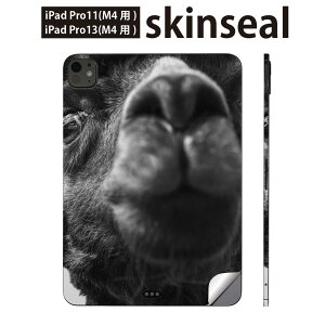 iPadPro 11(M4) iPadPro 13(M4) 2024N 5 p XLV[ 11C` 13C` ipad pro Ή m[gp\R Jo[ P[X tB XebJ[ ANZT[ ی ʐ^@N_@022854