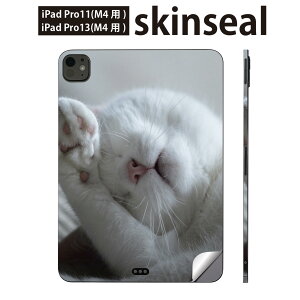 iPadPro 11(M4) iPadPro 13(M4) 2024N 5 p XLV[ 11C` 13C` ipad pro Ή m[gp\R Jo[ P[X tB XebJ[ ANZT[ ی L@˂@ʐ^@022860