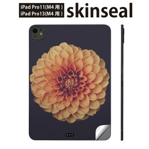 iPadPro 11(M4) iPadPro 13(M4) 2024�N���� ��5���� �p �X�L���V�[�� 11�C���` 13�C���` ipad pro �Ή� �m�[�g�p�\�R�� �J�o�[ �P�[�X �t�B���� �X�e�b�J�[ �A�N�Z�T���[ �ی� �ԁ@�ʐ^�@022891