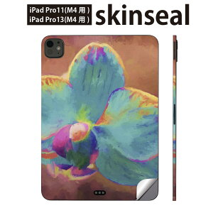 iPadPro 11(M4) iPadPro 13(M4) 2024N 5 p XLV[ 11C` 13C` ipad pro Ή m[gp\R Jo[ P[X tB XebJ[ ANZT[ ی ԁ@Jt@G@yC