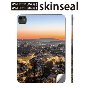 iPadPro 11(M4) iPadPro 13(M4) 2024�N���� ��5���� �p �X�L���V�[�� 11�C���` 13�C���` ipad pro �Ή� �m�[�g�p�\�R�� �J�o�[ �P�[�X �t�B���� �X�e�b�J�[ �A�N�Z�T���[ �ی� �s�s�@���i�@�ʐ^�@�@022969