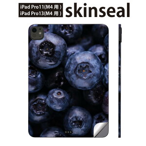 iPadPro 11(M4) iPadPro 13(M4) 2024N 5 p XLV[ 11C` 13C` ipad pro Ή m[gp\R Jo[ P[X tB XebJ[ ANZT[ ی u[x[@Hו@ʐ^