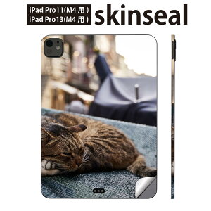 iPadPro 11(M4) iPadPro 13(M4) 2024N 5 p XLV[ 11C` 13C` ipad pro Ή m[gp\R Jo[ P[X tB XebJ[ ANZT[ ی L@˂@@i@ʐ^