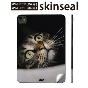 iPadPro 11(M4) iPadPro 13(M4) 2024N 5 p XLV[ 11C` 13C` ipad pro Ή m[gp\R Jo[ P[X tB XebJ[ ANZT[ ی L@˂@@ʐ^@023089