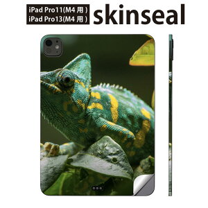 iPadPro 11(M4) iPadPro 13(M4) 2024�N���� ��5���� �p �X�L���V�[�� 11�C���` 13�C���` ipad pro �Ή� �m�[�g�p�\�R�� �J�o�[ �P�[�X �t�B���� �X�e�b�J�[ �A�N�Z�T���[ �ی� �C�O�A�i�@�ʐ^�@�������@02310