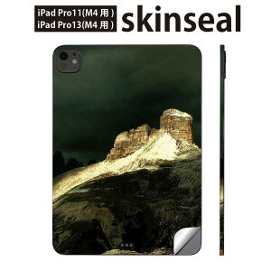 iPadPro 11(M4) iPadPro 13(M4) 2024N 5 p XLV[ 11C` 13C` ipad pro Ή m[gp\R Jo[ P[X tB XebJ[ ANZT[ ی iF@ʐ^@023227