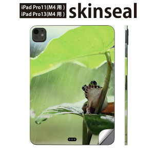 iPadPro 11(M4) iPadPro 13(M4) 2024�N���� ��5���� �p �X�L���V�[�� 11�C���` 13�C���` ipad pro �Ή� �m�[�g�p�\�R�� �J�o�[ �P�[�X �t�B���� �X�e�b�J�[ �A�N�Z�T���[ �ی� �J�G���@�������@�J�@023378