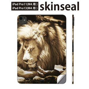 iPadPro 11(M4) iPadPro 13(M4) 2024N 5 p XLV[ 11C` 13C` ipad pro Ή m[gp\R Jo[ P[X tB XebJ[ ANZT[ ی CI@l@@023540