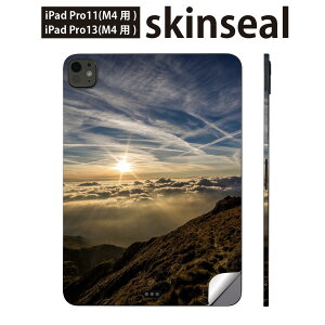 iPadPro 11(M4) iPadPro 13(M4) 2024N 5 p XLV[ 11C` 13C` ipad pro Ή m[gp\R Jo[ P[X tB XebJ[ ANZT[ ی iF@ʐ^@023593