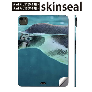 iPadPro 11(M4) iPadPro 13(M4) 2024�N���� ��5���� �p �X�L���V�[�� 11�C���` 13�C���` ipad pro �Ή� �m�[�g�p�\�R�� �J�o�[ �P�[�X �t�B���� �X�e�b�J�[ �A�N�Z�T���[ �ی� �y���M���@�����@�@023661