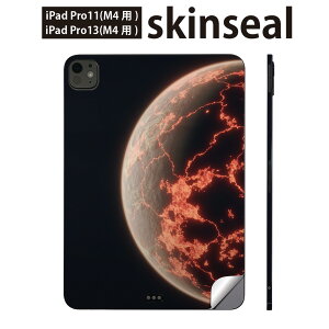 iPadPro 11(M4) iPadPro 13(M4) 2024N 5 p XLV[ 11C` 13C` ipad pro Ή m[gp\R Jo[ P[X tB XebJ[ ANZT[ ی f@F@023684