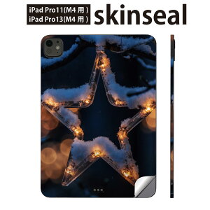 iPadPro 11(M4) iPadPro 13(M4) 2024N 5 p XLV[ 11C` 13C` ipad pro Ή m[gp\R Jo[ P[X tB XebJ[ ANZT[ ی NX}X@@023831