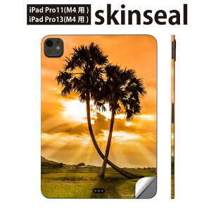iPadPro 11(M4) iPadPro 13(M4) 2024N 5 p XLV[ 11C` 13C` ipad pro Ή m[gp\R Jo[ P[X tB XebJ[ ANZT[ ی V̖؁@v@R@iF