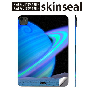 iPadPro 11(M4) iPadPro 13(M4) 2024N 5 p XLV[ 11C` 13C` ipad pro Ή m[gp\R Jo[ P[X tB XebJ[ ANZT[ ی F@@f@025716