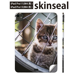 iPadPro 11(M4) iPadPro 13(M4) 2024N 5 p XLV[ 11C` 13C` ipad pro Ή m[gp\R Jo[ P[X tB XebJ[ ANZT[ ی @L@lR@ԗց@025949