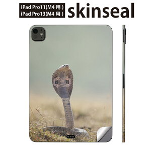 iPadPro 11(M4) iPadPro 13(M4) 2024�N���� ��5���� �p �X�L���V�[�� 11�C���` 13�C���` ipad pro �Ή� �m�[�g�p�\�R�� �J�o�[ �P�[�X �t�B���� �X�e�b�J�[ �A�N�Z�T���[ �ی� �ց@�w�r�@঒��ށ@�R�u���@02