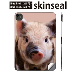 iPadPro 11(M4) iPadPro 13(M4) 2024N 5 p XLV[ 11C` 13C` ipad pro Ή m[gp\R Jo[ P[X tB XebJ[ ANZT[ ی @؁@u^@026057