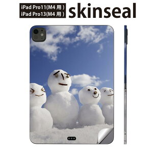 iPadPro 11(M4) iPadPro 13(M4) 2024N 5 p XLV[ 11C` 13C` ipad pro Ή m[gp\R Jo[ P[X tB XebJ[ ANZT[ ی Xm[}@~@@ʐ^@00