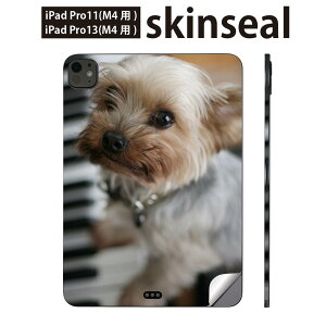 iPadPro 11(M4) iPadPro 13(M4) 2024N 5 p XLV[ 11C` 13C` ipad pro Ή m[gp\R Jo[ P[X tB XebJ[ ANZT[ ی @ʐ^@sAm@004565