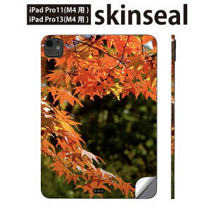 iPadPro 11(M4) iPadPro 13(M4) 2024N 5 p XLV[ 11C` 13C` ipad pro Ή m[gp\R Jo[ P[X tB XebJ[ ANZT[ ی gt@H@i@004615