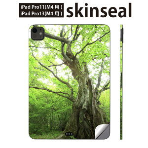 iPadPro 11(M4) iPadPro 13(M4) 2024N 5 p XLV[ 11C` 13C` ipad pro Ή m[gp\R Jo[ P[X tB XebJ[ ANZT[ ی ʐ^@X@A@005452