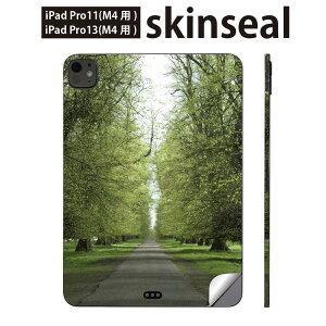 iPadPro 11(M4) iPadPro 13(M4) 2024N 5 p XLV[ 11C` 13C` ipad pro Ή m[gp\R Jo[ P[X tB XebJ[ ANZT[ ی ʐ^@ā@ؓ@005918