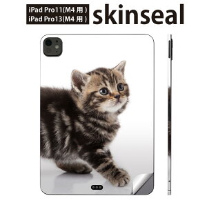 iPadPro 11(M4) iPadPro 13(M4) 2024N 5 p XLV[ 11C` 13C` ipad pro Ή m[gp\R Jo[ P[X tB XebJ[ ANZT[ ی ʐ^@@L@˂@005930