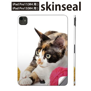 iPadPro 11(M4) iPadPro 13(M4) 2024N 5 p XLV[ 11C` 13C` ipad pro Ή m[gp\R Jo[ P[X tB XebJ[ ANZT[ ی ʐ^@@L@˂@005939