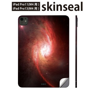 iPadPro 11(M4) iPadPro 13(M4) 2024N 5 p XLV[ 11C` 13C` ipad pro Ή m[gp\R Jo[ P[X tB XebJ[ ANZT[ ی F@́@005999