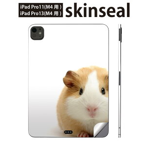 iPadPro 11(M4) iPadPro 13(M4) 2024N 5 p XLV[ 11C` 13C` ipad pro Ή m[gp\R Jo[ P[X tB XebJ[ ANZT[ ی ʐ^@@nX^[@00603