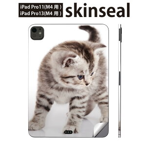 iPadPro 11(M4) iPadPro 13(M4) 2024N 5 p XLV[ 11C` 13C` ipad pro Ή m[gp\R Jo[ P[X tB XebJ[ ANZT[ ی ʐ^@lR@˂@006228